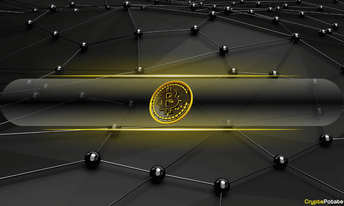 Đây là lý do tại sao các công ty kho bạc Bitcoin có thể rủi ro hơn BTC