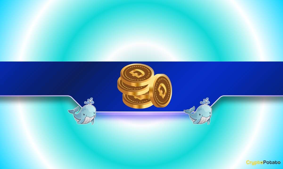 DOGE Rally sản xuất bia? Cá voi tăng số lượng khi các quỹ ETF Dogecoin đăng dòng tiền vào kỷ lục