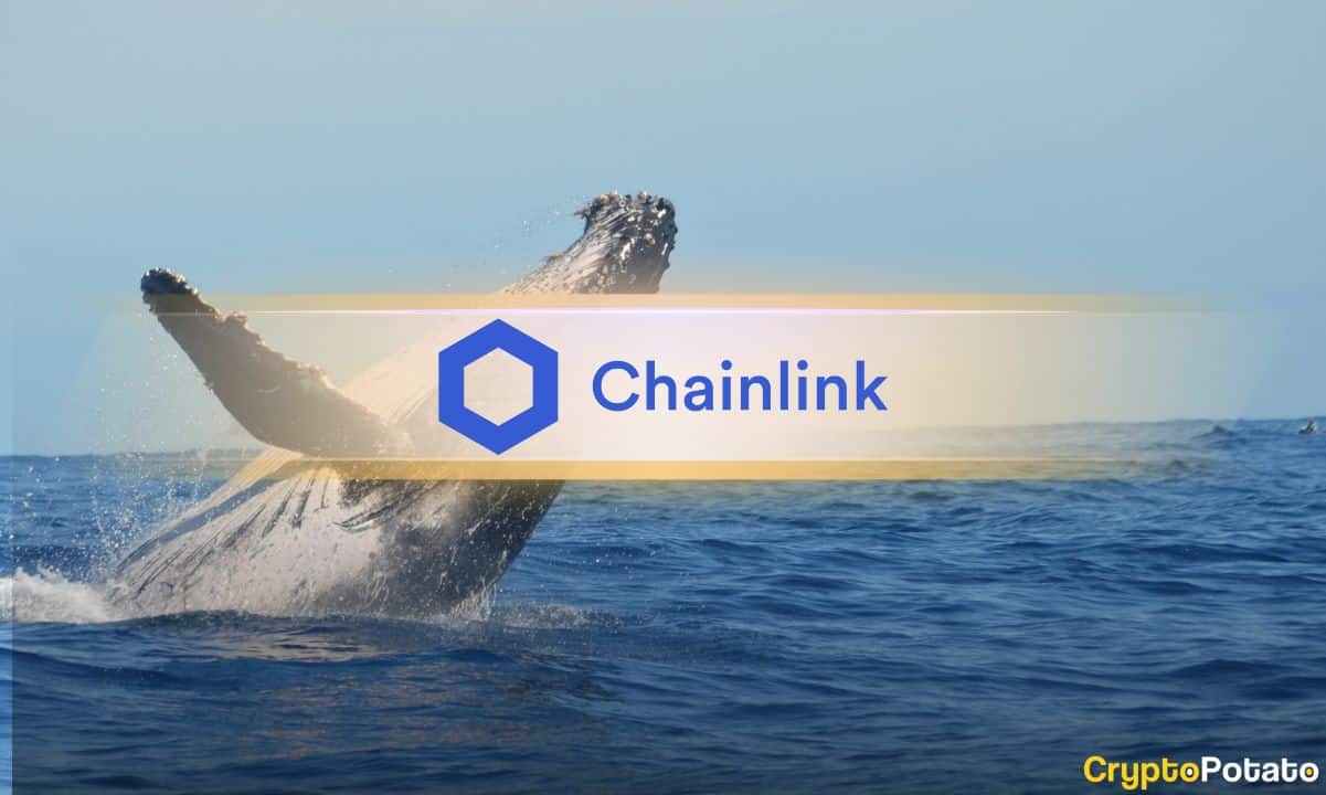 Cuộc biểu tình Chainlink mang lại lợi nhuận, trong khi CCIP 2.0 nhắm mục tiêu tiền tổ chức