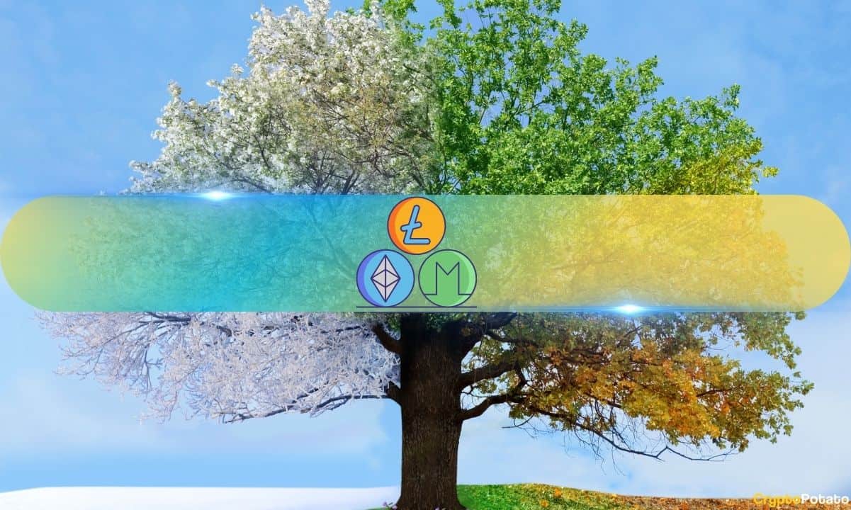 Altcoin đang tăng giá, nhưng nhà phân tích cho biết mùa Altcoin vẫn chưa bắt đầu