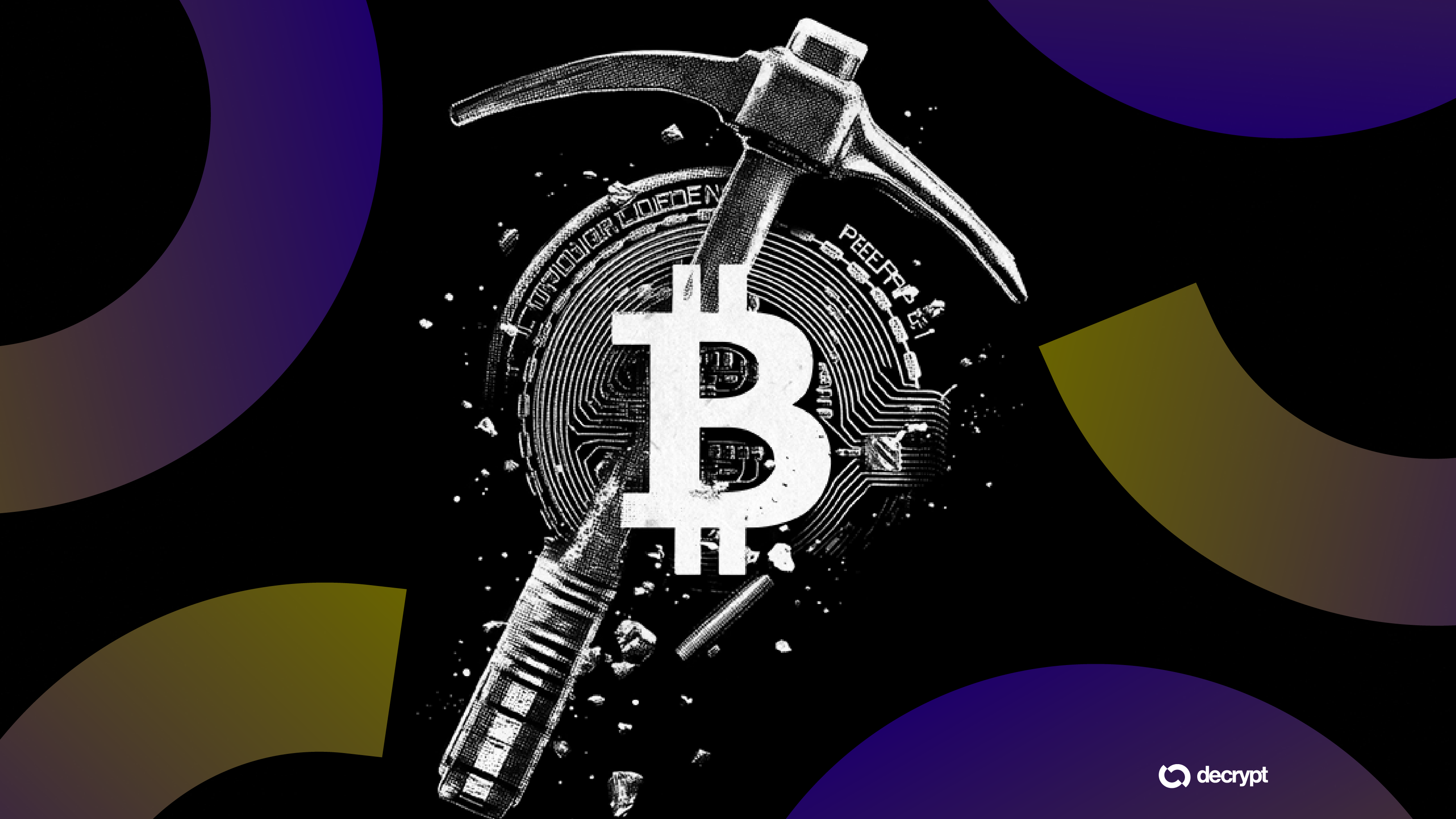 Não ruồi giấm có thể khai thác Bitcoin không? Các công ty này đang thử nghiệm nó
