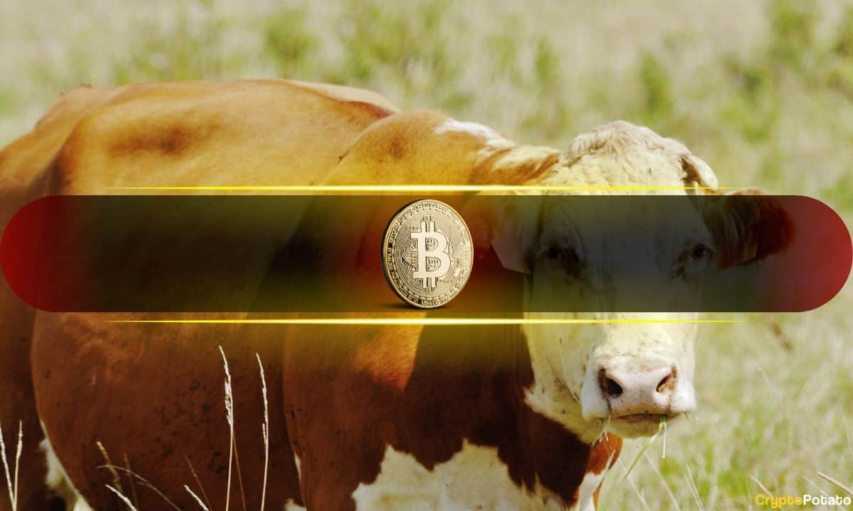 5 chỉ số Bitcoin này lần đầu tiên chuyển sang xu hướng tăng kể từ năm 2025: Báo cáo