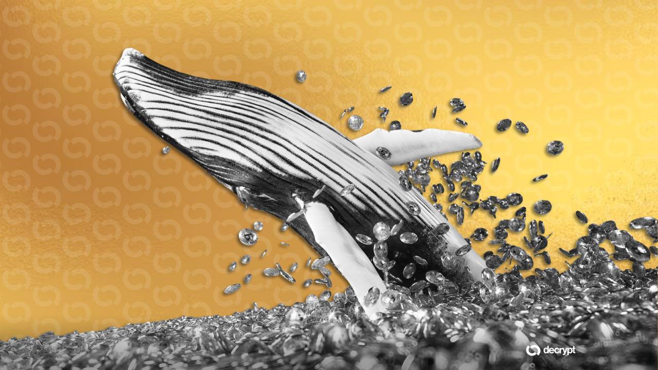 161 triệu đô la Bitcoin trong thập kỷ đã được chuyển đi chỉ sau hai tuần