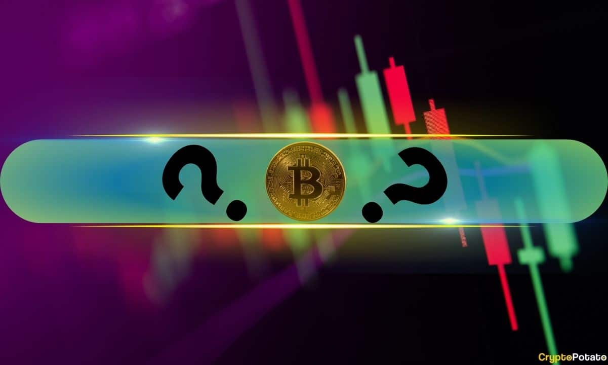 Lợi nhuận khổng lồ từ các loại tiền thay thế này khi Bitcoin (BTC) đứng ở mức 84 nghìn đô la: Xem cuối tuần