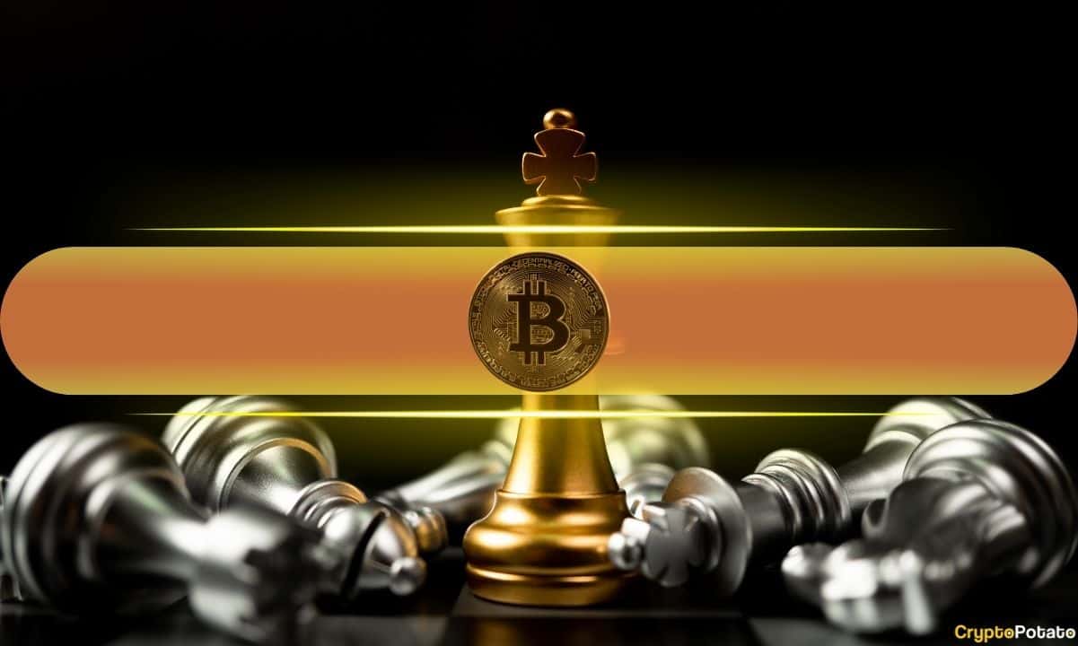 Chỉ 9 trong số 50 loại tiền thay thế hàng đầu đã đánh bại Bitcoin kể từ đỉnh cao của nó: Chọn người chiến thắng là rất tàn bạo