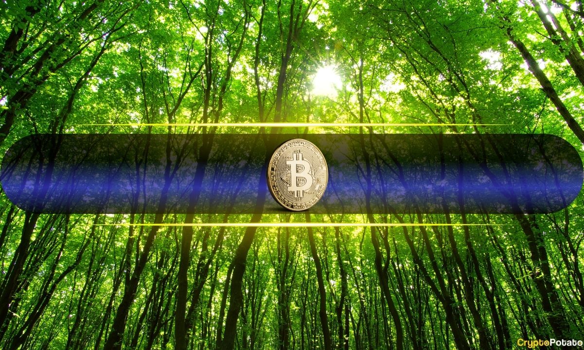 Lý do thực sự khiến Bitcoin tăng vọt 7 nghìn đô la mỗi ngày: Nhưng liệu cuộc biểu tình có thể kéo dài?