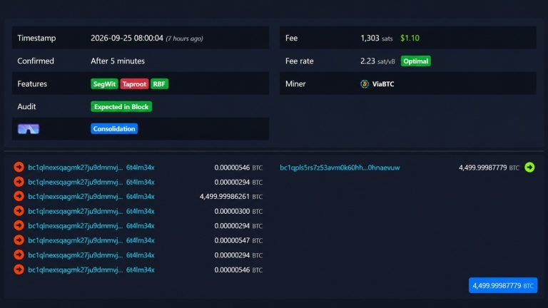 Một con cá voi Bitcoin năm 2019 đã di chuyển được 378 triệu đô la và chỉ trả 1 đô la để làm điều đó