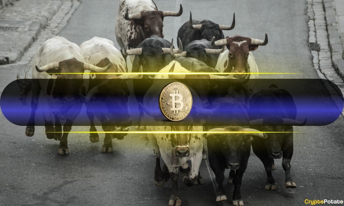 Biểu đồ Bitcoin lặp lại chu kỳ mang lại mức tăng 400%: Nhà phân tích