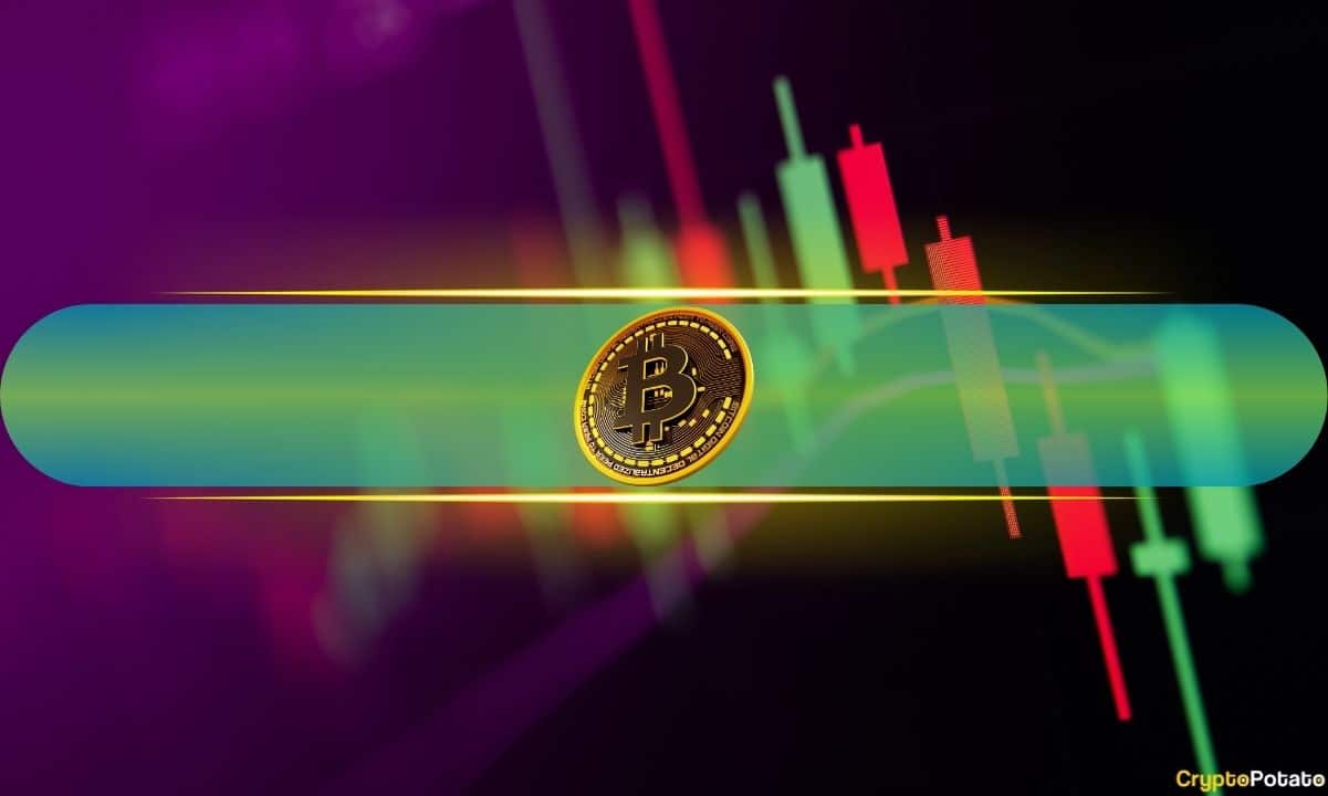 Bitcoin (BTC) Skyrockets to 8-Month High Above $84K as Altcoins Mark Big Gains: Market Watch