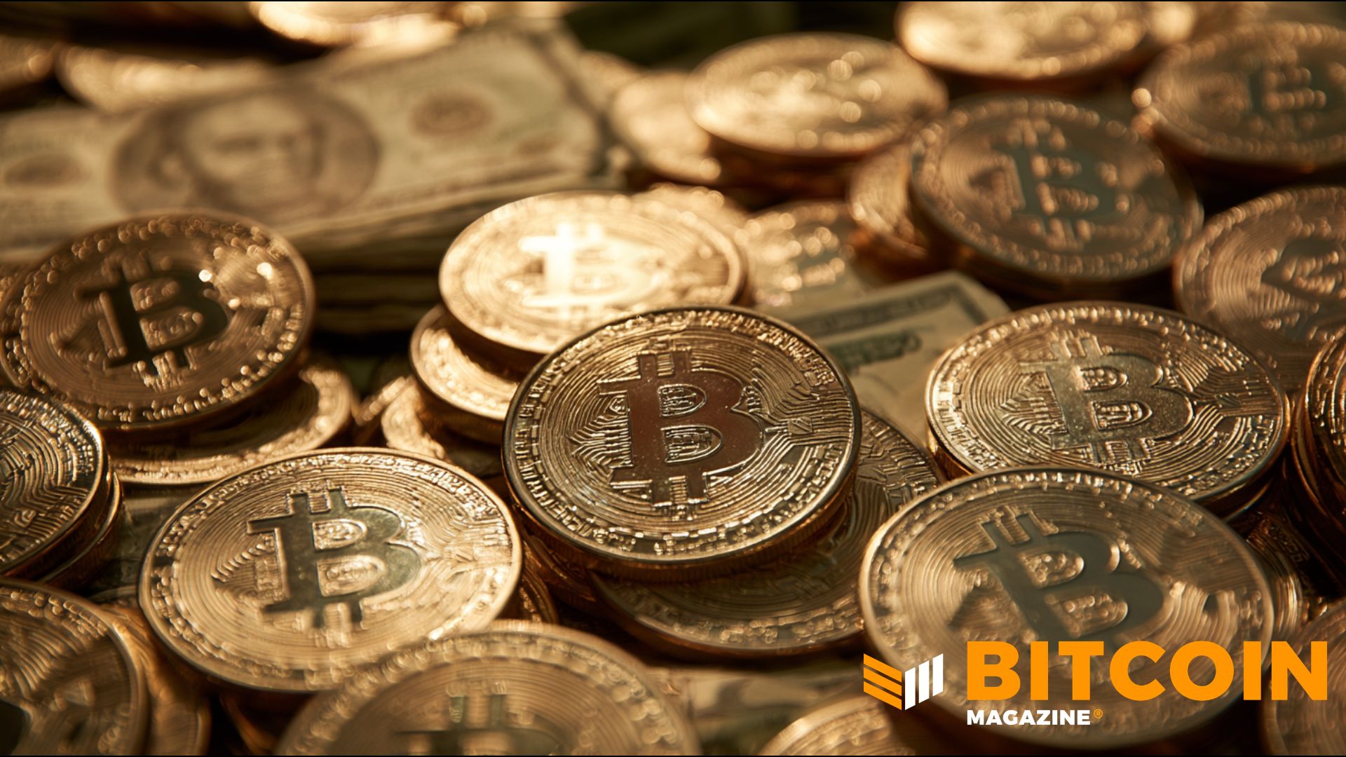 Các tổ chức đã nắm giữ Bitcoin của họ sau sự cố – ​​và một số đã mua thêm: Báo cáo