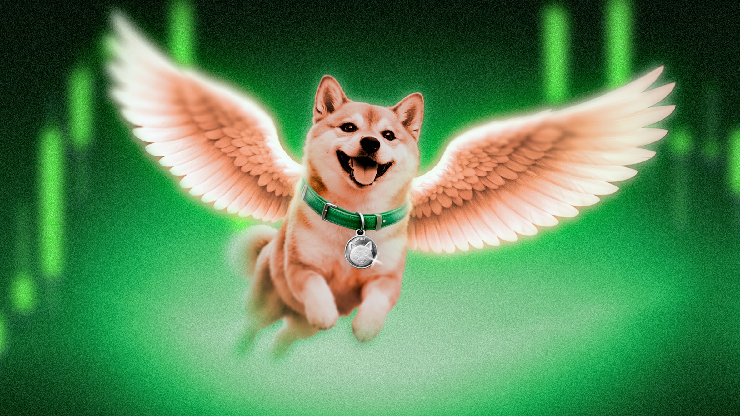 Token Shiba Inu mà Vitalik chưa bao giờ yêu cầu tài trợ cho cuộc thử nghiệm vắc xin ngừa Covid