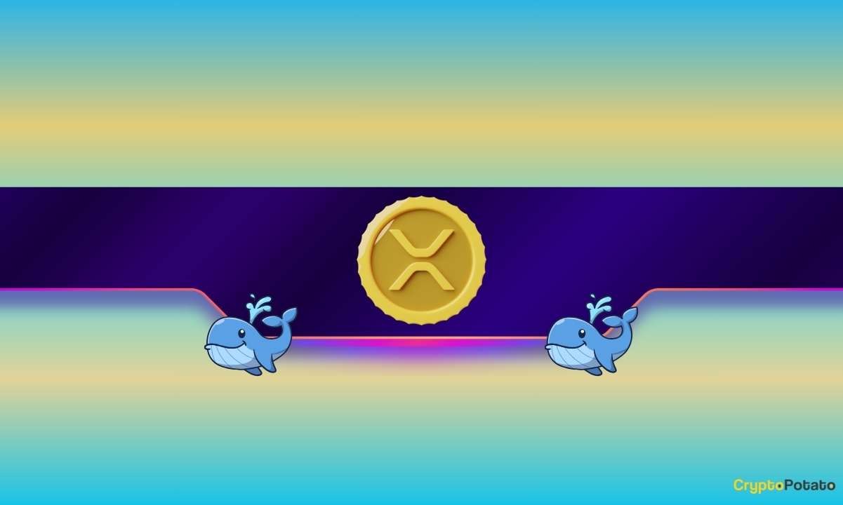 Cá voi XRP tiếp tục mua khi Ripple đưa ra thông báo lớn liên quan đến BlackRock