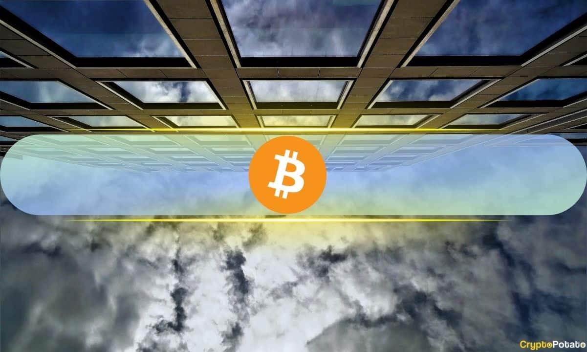 Các tổ chức đã chứng kiến ​​Bitcoin giảm 50%: Tuy nhiên, không ai trong số 15 nhà đầu tư được khảo sát theo Bitwise cắt giảm mức độ tiếp xúc
